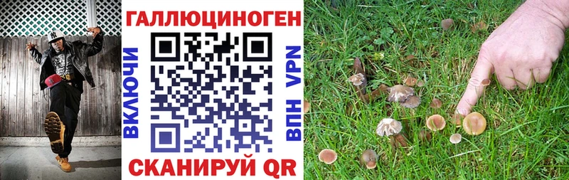 Псилоцибиновые грибы MAGIC MUSHROOMS Кызыл